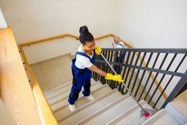 istockphoto 2161323717 612x612 1 Renholdguiden